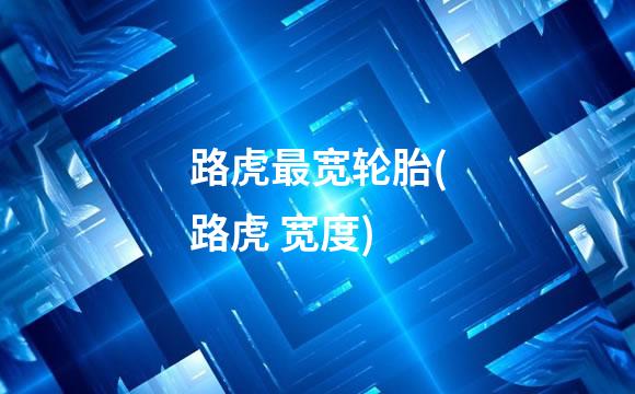 路虎最宽轮胎(路虎 宽度)